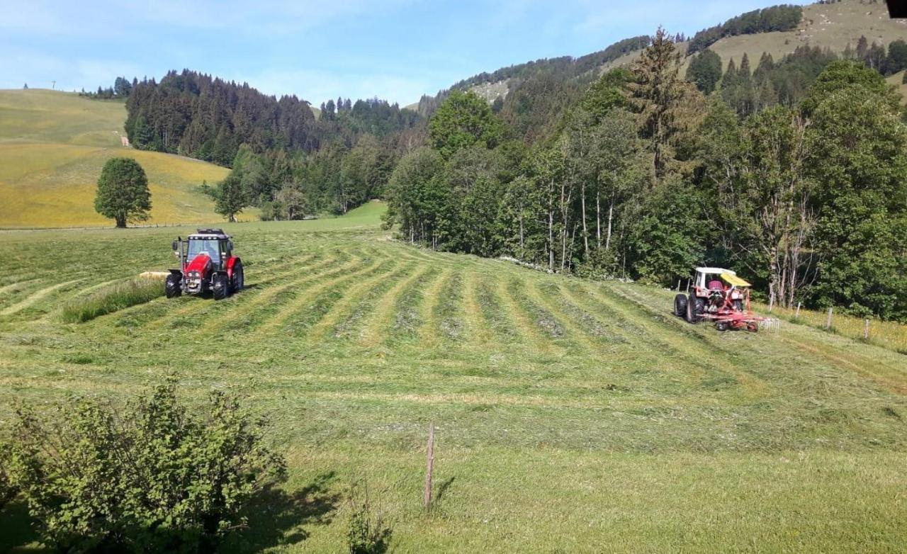 Ferienwohnungen Foidlhof Hochfilzen Kültér fotó