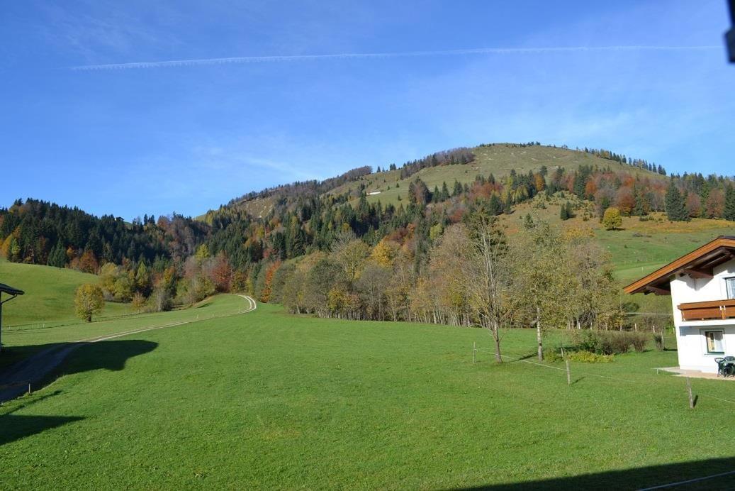 Ferienwohnungen Foidlhof Hochfilzen Kültér fotó